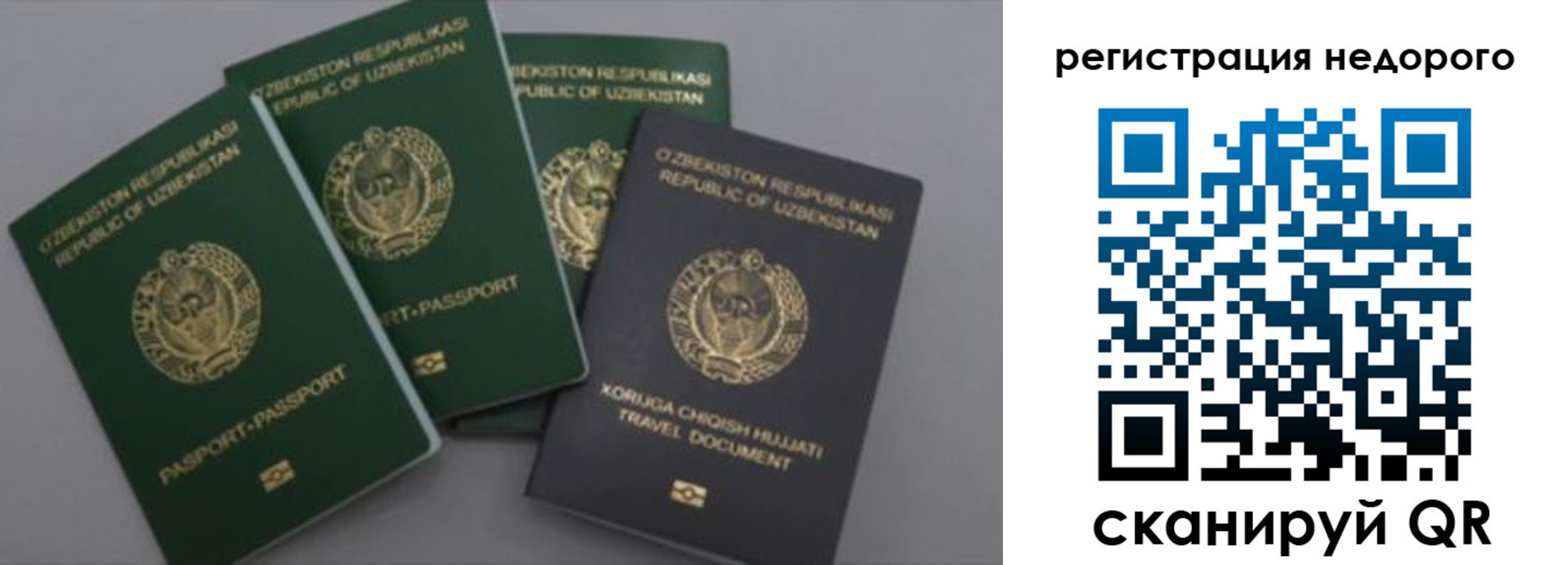 пропишу в квартире в Минеральных Водах